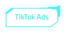 TikTok Ads